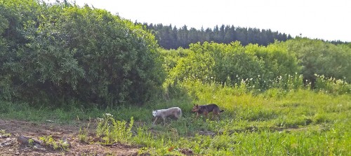 Les_08.07.2020-3.jpg