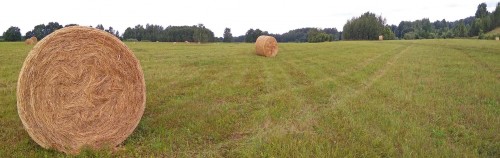 Les_15.07.2020-1.jpg
