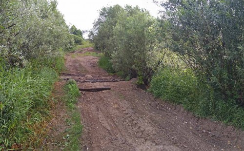 Les_15.07.2020-2.jpg