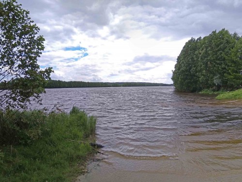 Les_15.07.2020-6.jpg