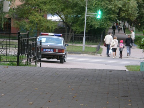 P9156882.JPG