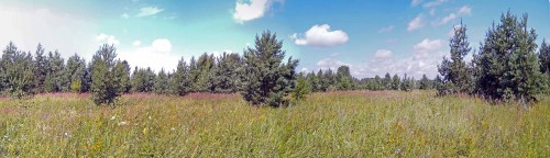 Les_22.07.2020-1.jpg