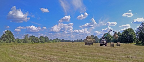 Les_27.07.2020-2.jpg