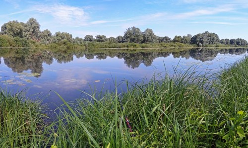 Les_27.07.2020-5.jpg