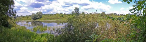 Les_27.07.2020-6.jpg