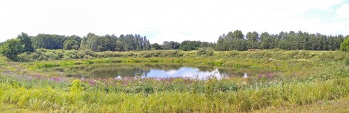 Les_27.07.2020-7.jpg