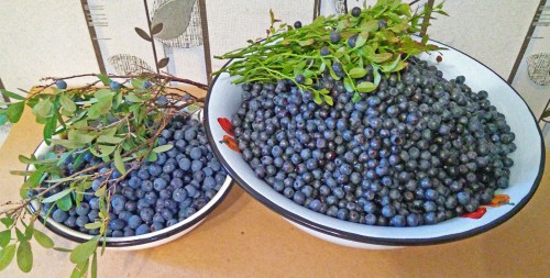 Les_29.07.2020-4.jpg