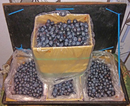 Les_03.08.2020-4.jpg