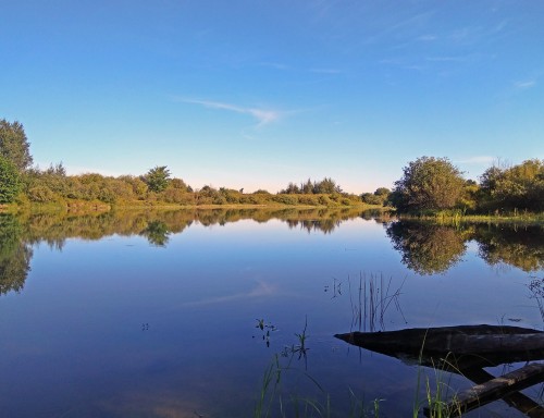 Les_05.08.2020-4.jpg