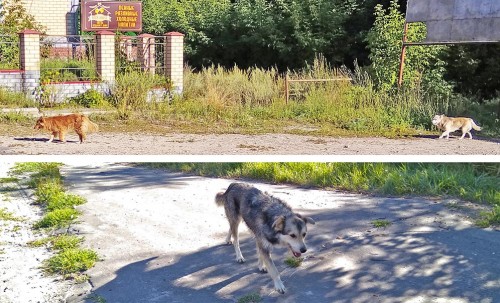 Les_05.08.2020-8.jpg