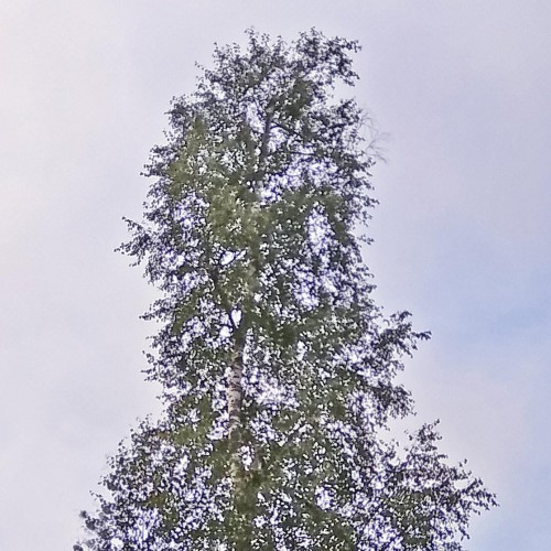 Les_05.08.2020-1.jpg