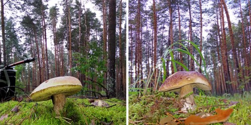 Les_12.08.2020-4.jpg
