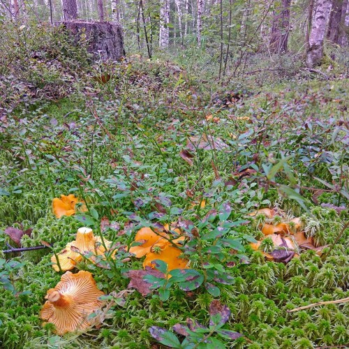 Les_16.08.2020-2.jpg