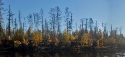 Tajga_Pozhar_11092011.jpg