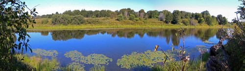 Les_18.08.2020-3.jpg