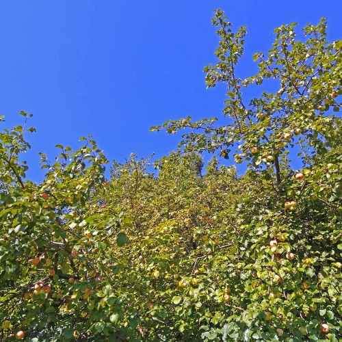 Les_18.08.2020-4.jpg
