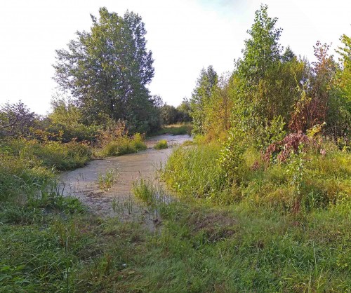 Les_24.08.2020-1.jpg