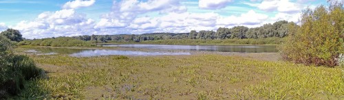 Les_27.08.2020-1.jpg