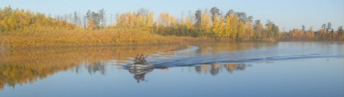 Vah_Ohota_12092011-1.jpg