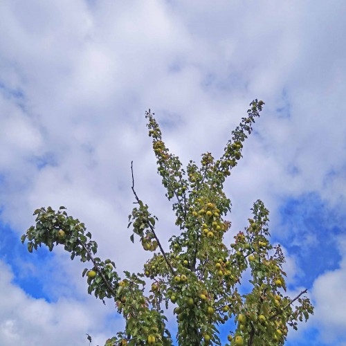 Les_29.08.2020-1.jpg