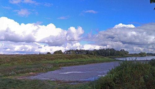 Les_29.08.2020-2.jpg