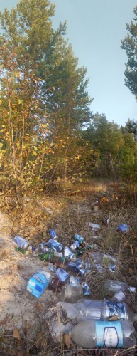 Tajga_Svalka_17092011.jpg