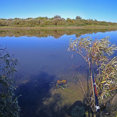 Les_03.09.2020-2.jpg
