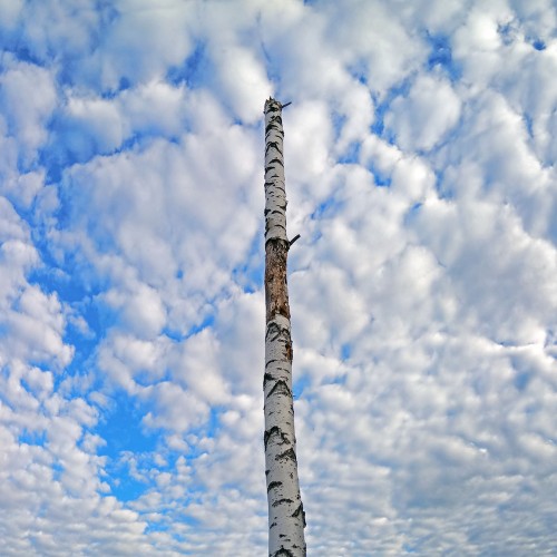 Les_06.09.2020-1.jpg