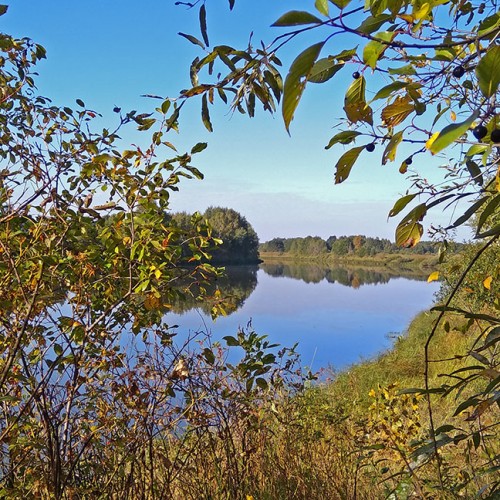 Les_06.09.2020-6.jpg
