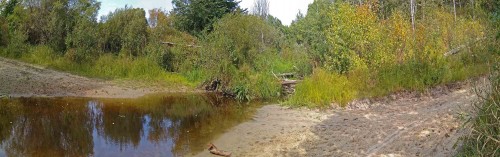 Les_08.09.2020-1.jpg