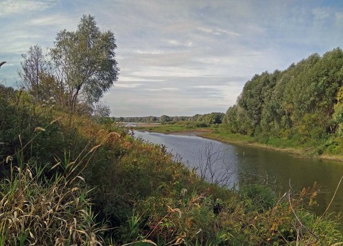 Les_08.09.2020-2.jpg