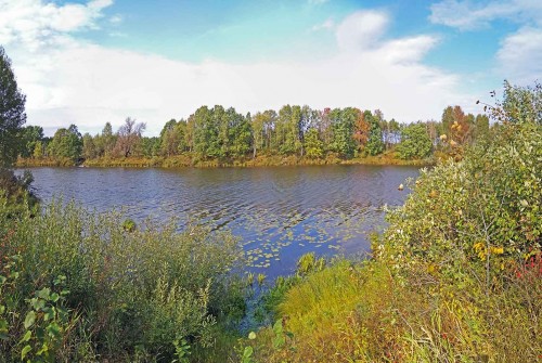 Les_13.09.2020-1.jpg