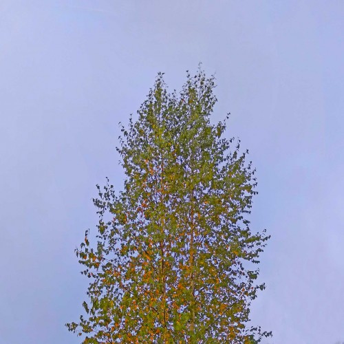 Les_15.09.2020-1.jpg