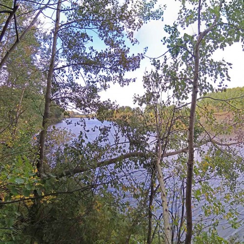 Les_15.09.2020-3.jpg
