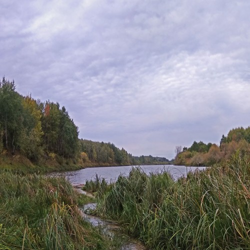 Les_21.09.2020-2.jpg