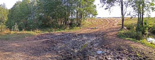 Les_25.09.2020-2.jpg