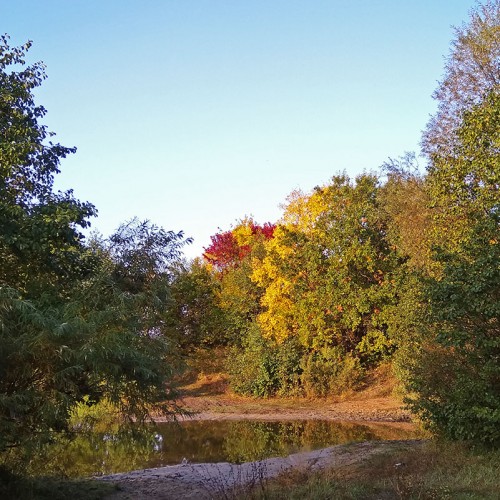 Les_25.09.2020-4.jpg
