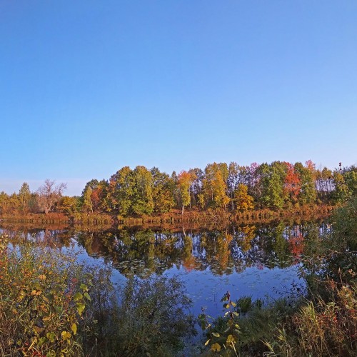 Les_25.09.2020-5.jpg