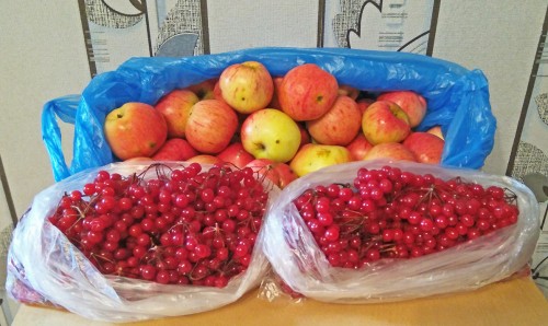 Les_27.09.2020-6.jpg