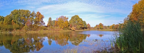 Les_30.09.2020-5.jpg
