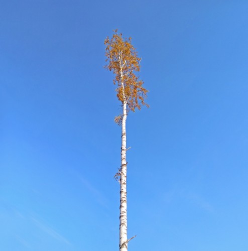 Les_03.10.2020-1.jpg