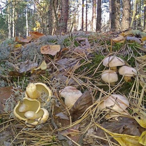 Les_03.10.2020-2.jpg