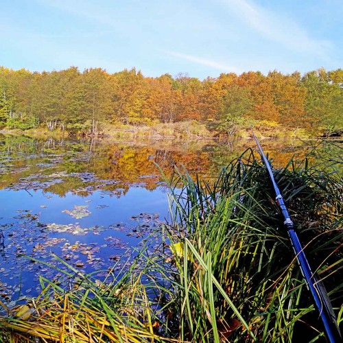 Les_05.10.2020-3.jpg