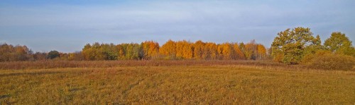 Les_07.10.2020-2.jpg