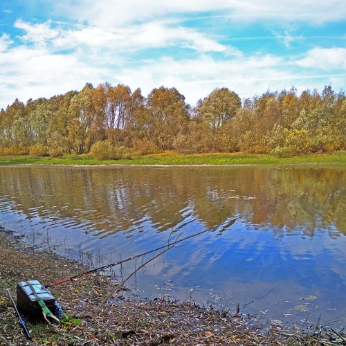 Les_09.10.2020-3.jpg