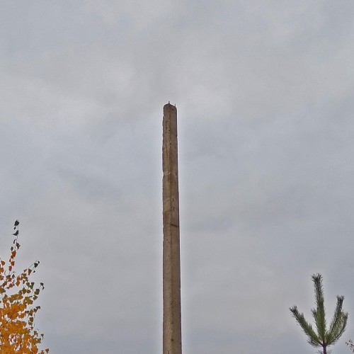 Les_13.10.2020-1.jpg