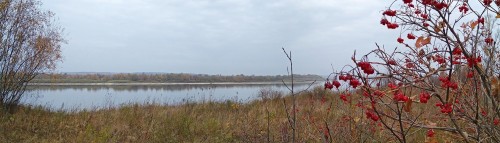 Les_13.10.2020-5.jpg