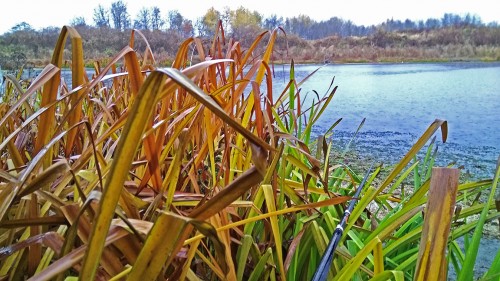Les_15.10.2020-2.jpg