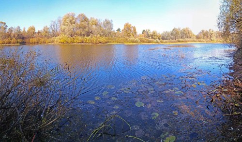 Les_15.10.2020-3.jpg