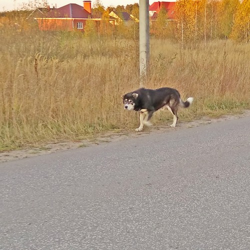 Les_19.10.2020-4.jpg